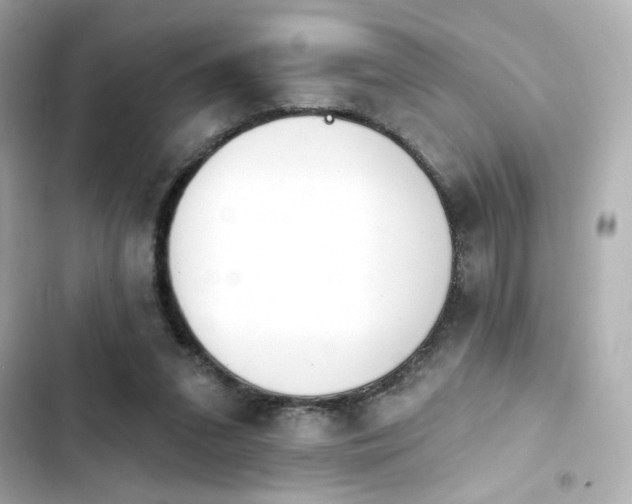 X0000103930207200809191358