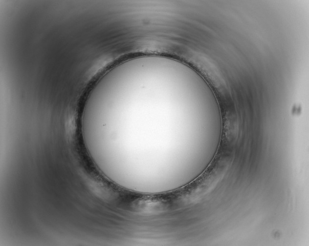 X0000103930208200809191358