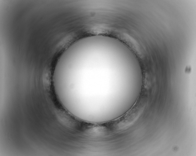 X0000103930210200809191358
