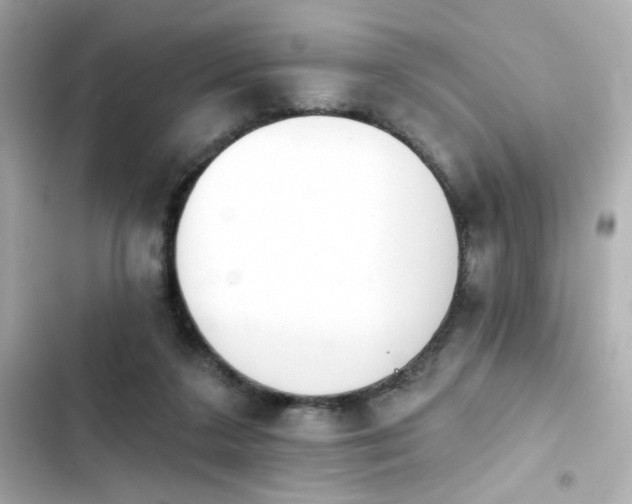 X0000103930211200809191358