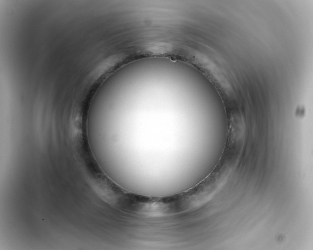 X0000103930212200809191358