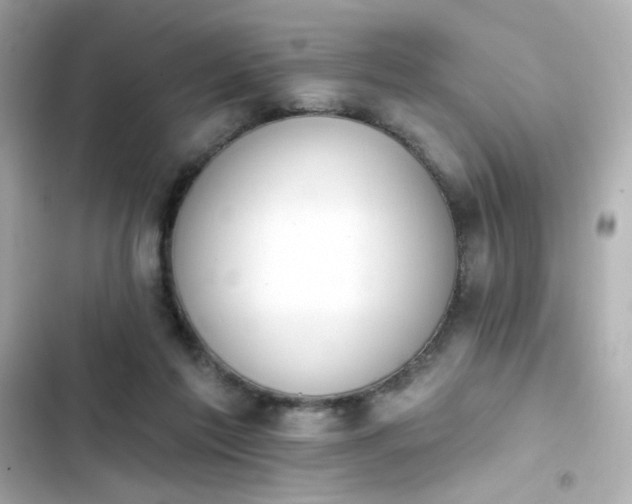 X0000103930213200809191358