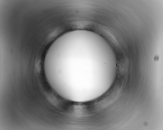 X0000103930216200809191358