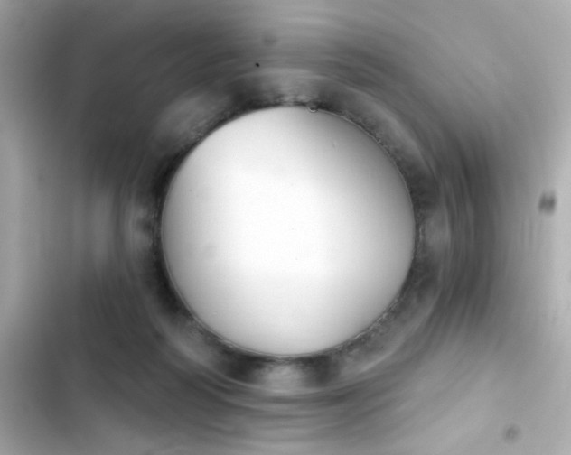 X0000103930218200809191358