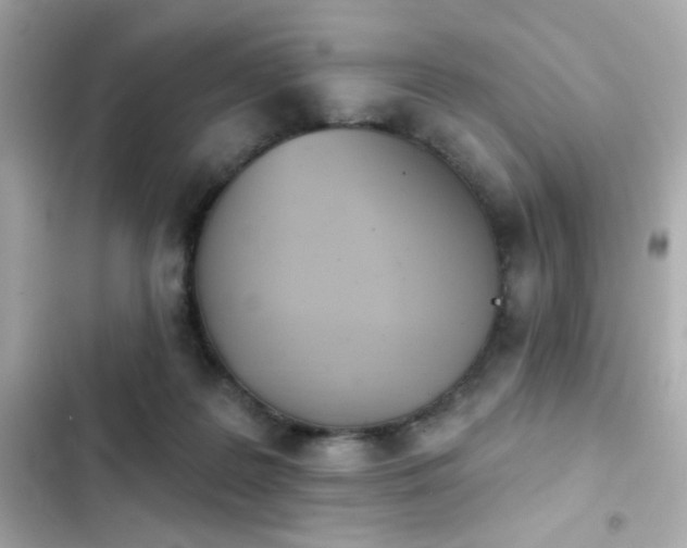 X0000103930219200809191358