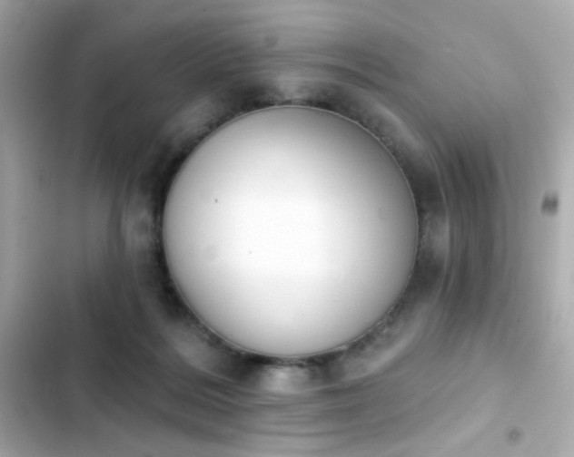 X0000103930220200809191358