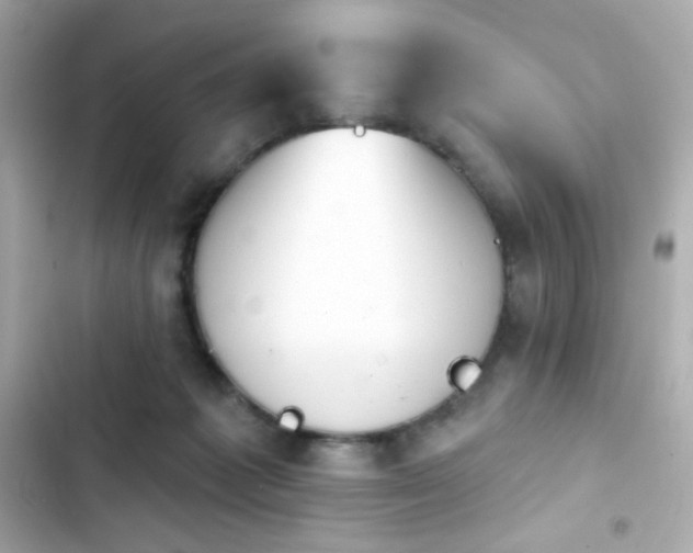 X0000103930221200809191358