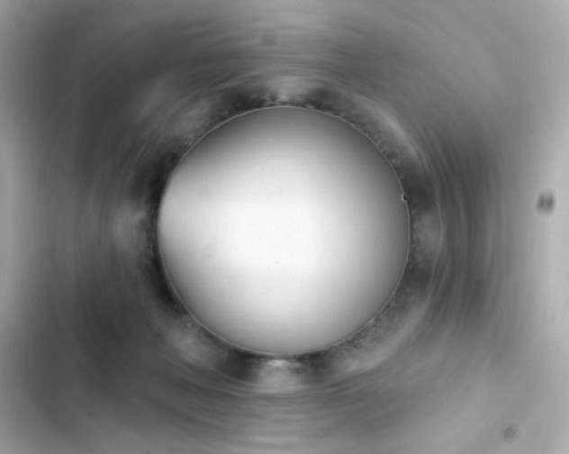 X0000103930222200809191358