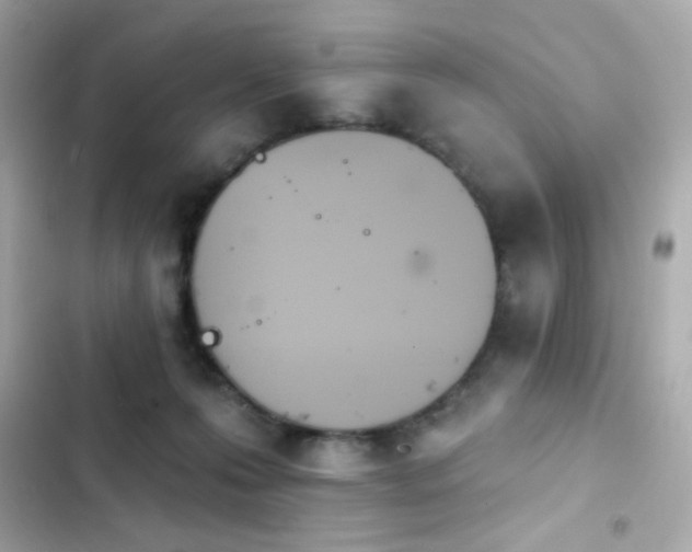 X0000103930223200809191358