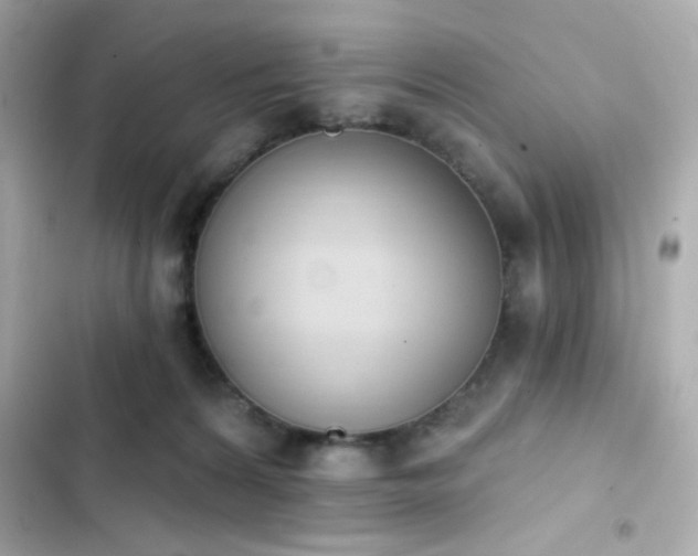X0000103930224200809191358