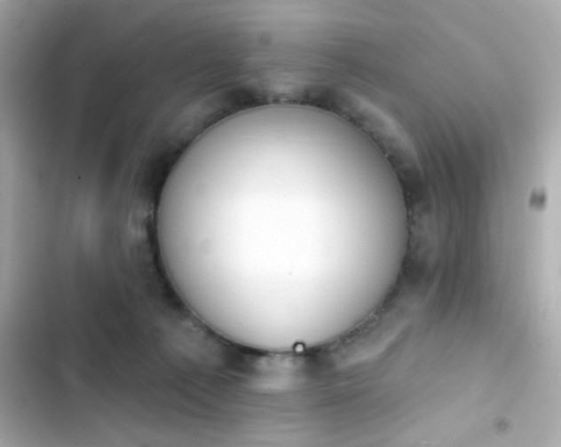 X0000103930225200809191358