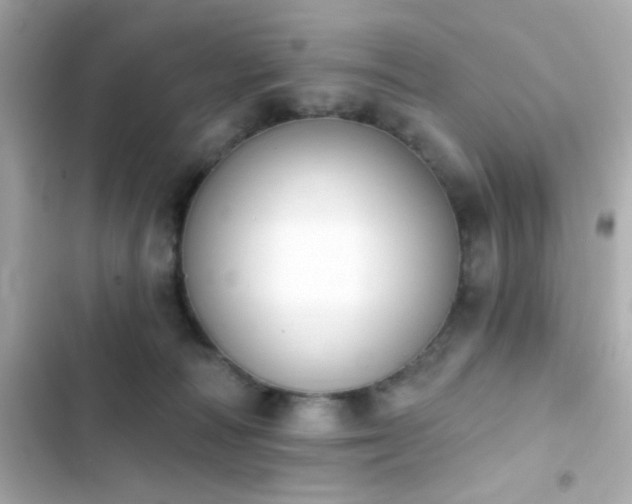 X0000103930226200809191358