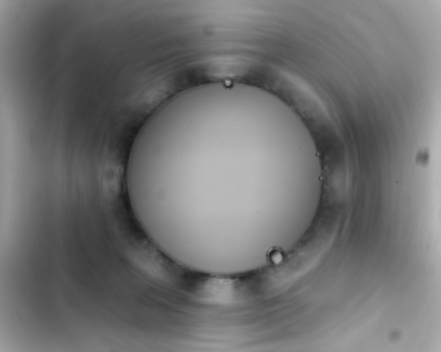 X0000103930227200809191358