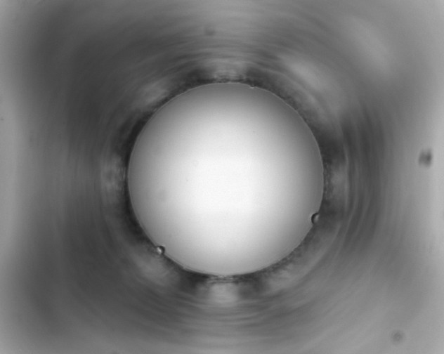 X0000103930228200809191358