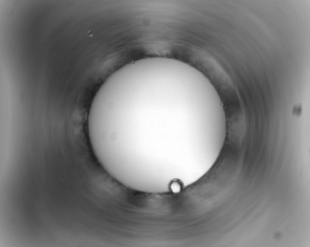 X0000103930229200809191358