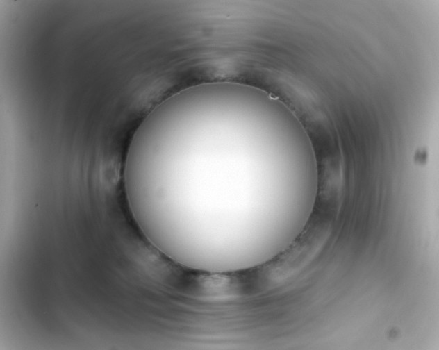 X0000103930230200809191358