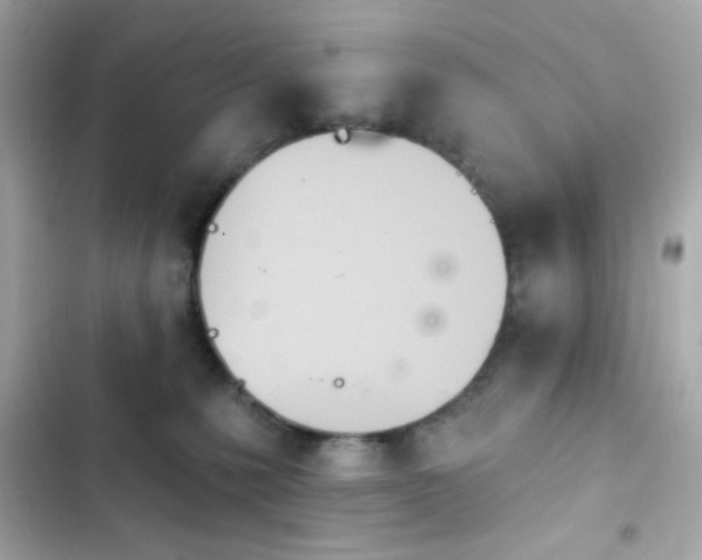 X0000103930231200809191358
