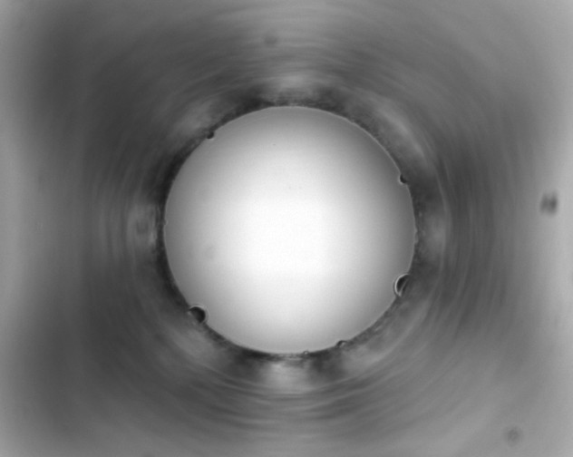 X0000103930232200809191358