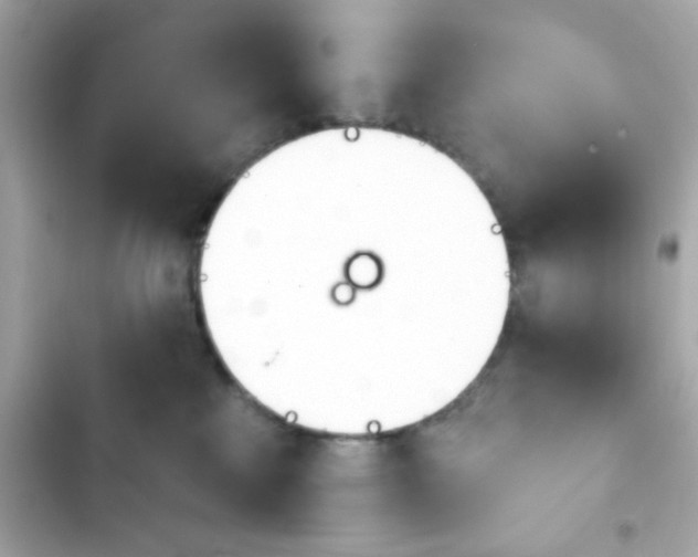 X0000103930233200809191358