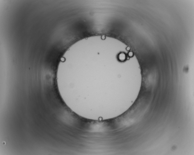 X0000103930235200809191358