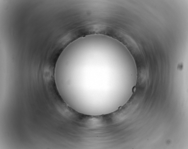 X0000103930236200809191358