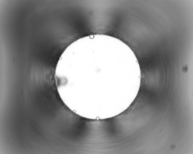 X0000103930237200809191358