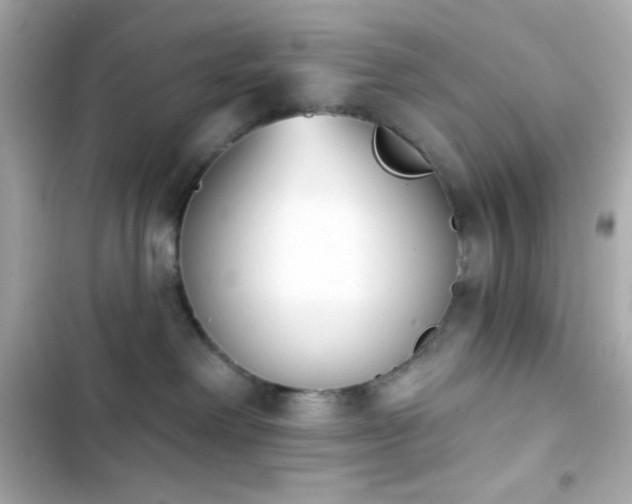 X0000103930238200809191358