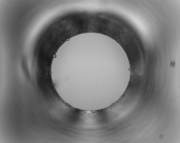 X0000103930239200809191358