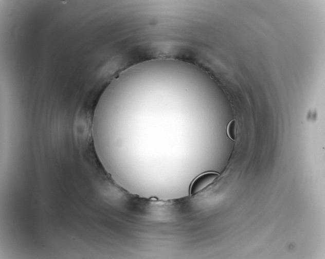 X0000103930240200809191358