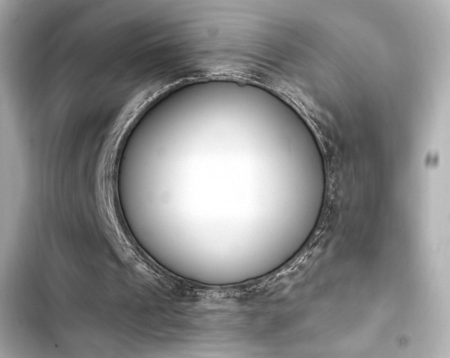 X0000103930241200809191357
