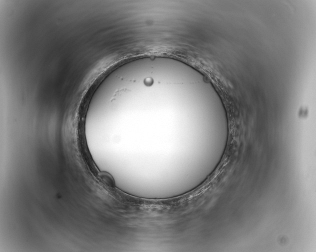 X0000103930242200809191357