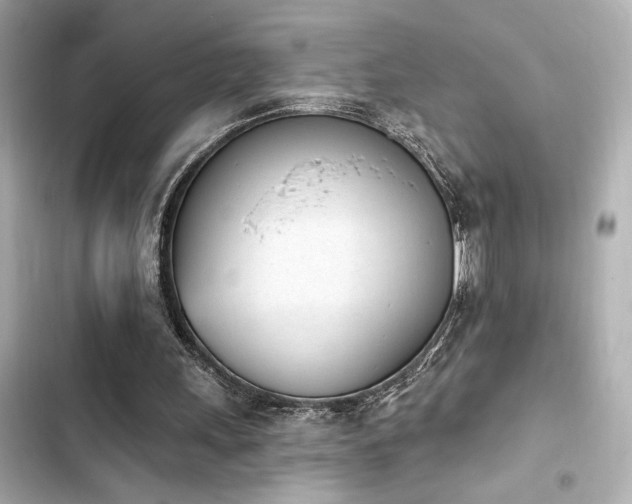 X0000103930243200809191357