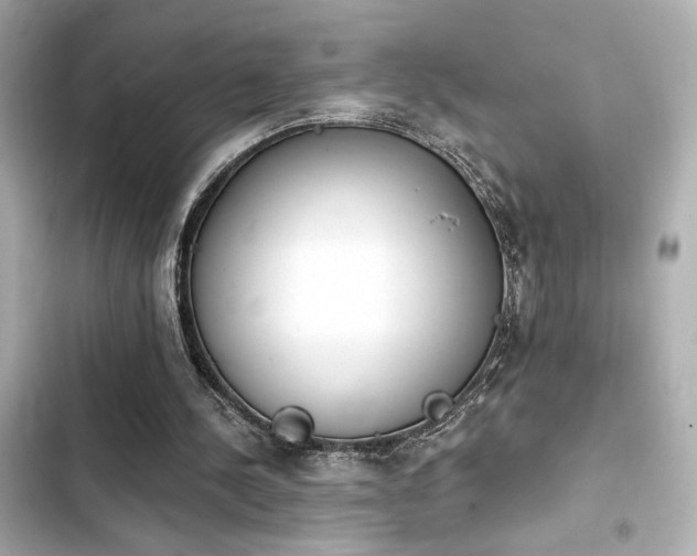 X0000103930244200809191357