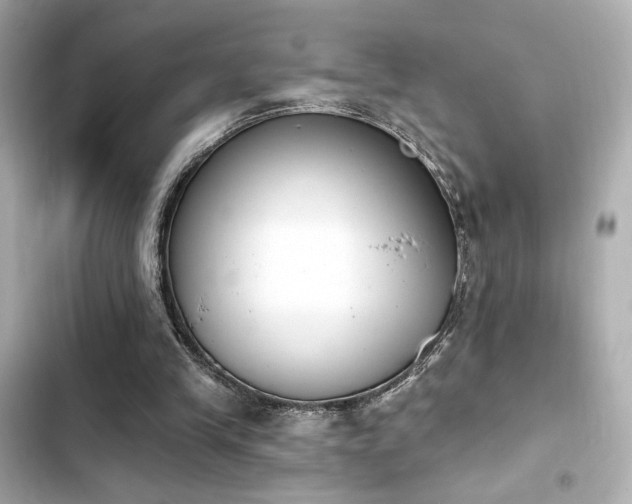 X0000103930245200809191357