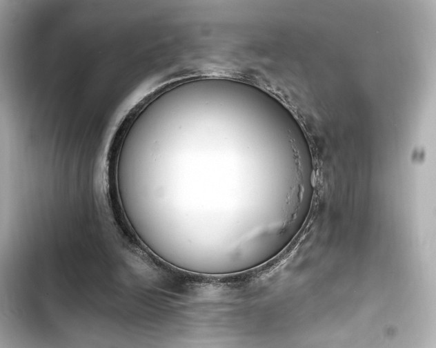X0000103930246200809191357