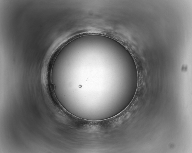 X0000103930247200809191357