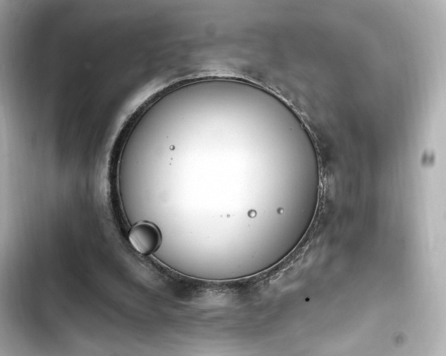 X0000103930248200809191357