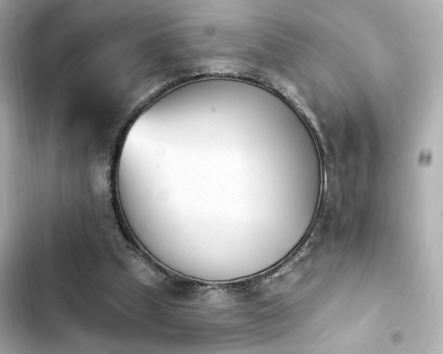 X0000103930249200809191357
