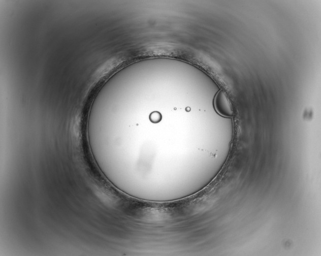 X0000103930250200809191357