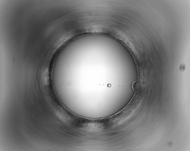 X0000103930251200809191357
