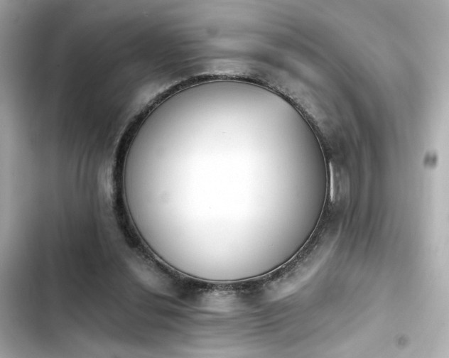 X0000103930252200809191357