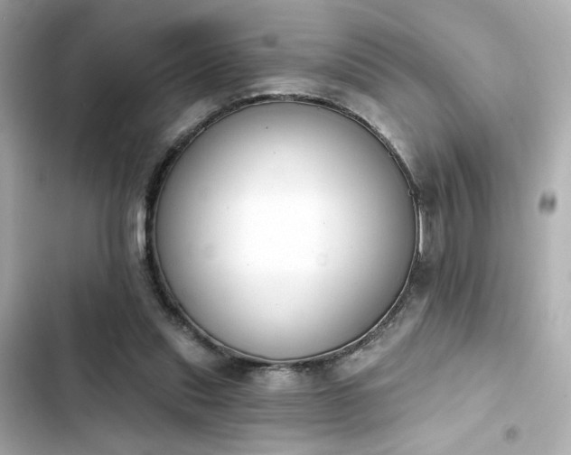 X0000103930253200809191357
