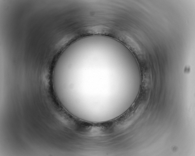 X0000103930255200809191357
