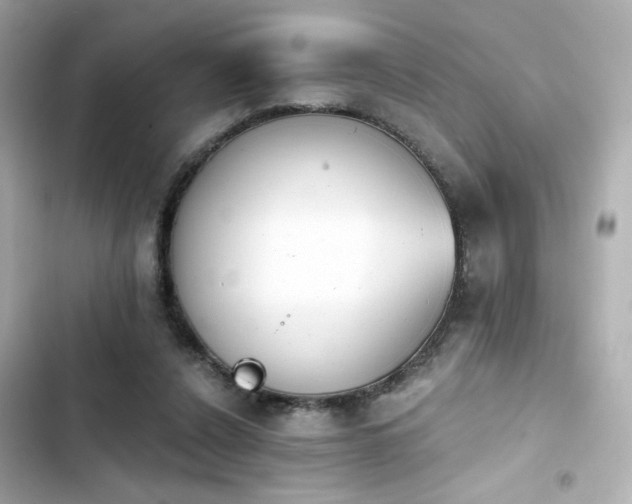 X0000103930256200809191357