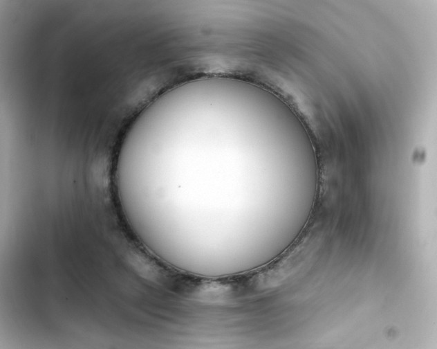 X0000103930257200809191357