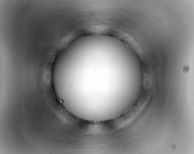 X0000103930259200809191357