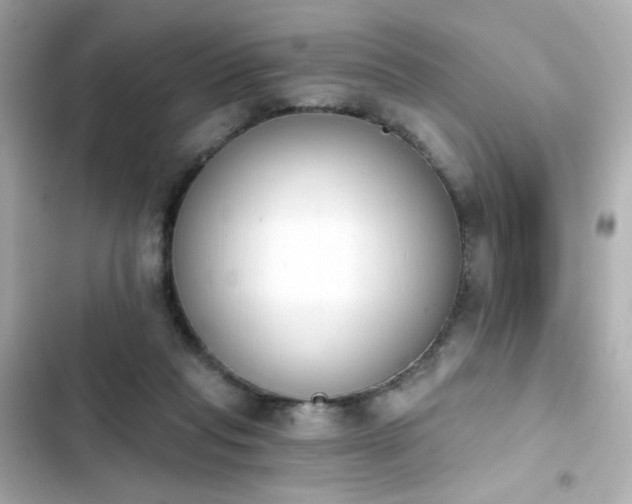 X0000103930261200809191357