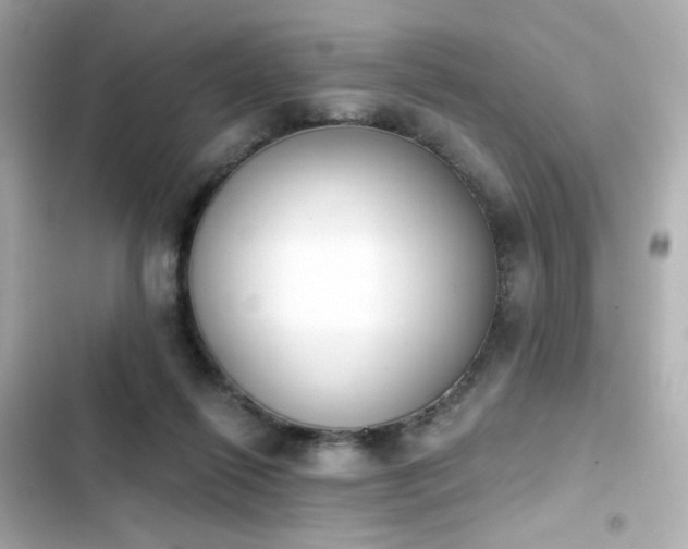 X0000103930262200809191357