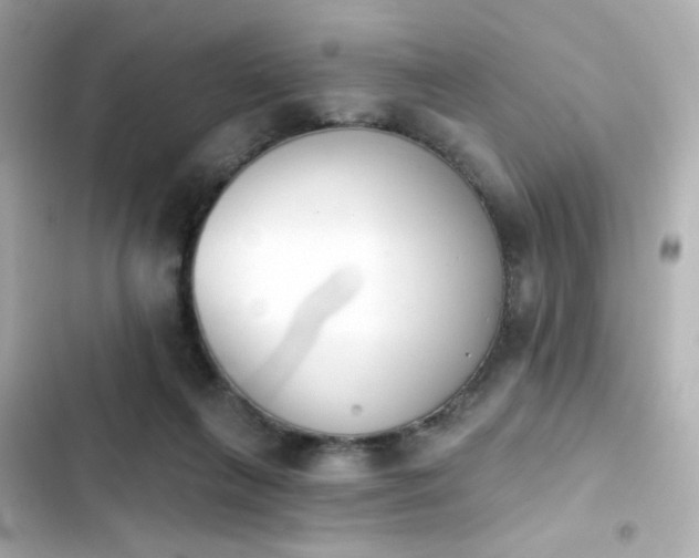 X0000103930263200809191357