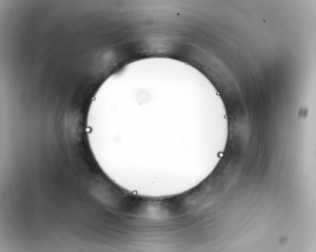 X0000103930264200809191357